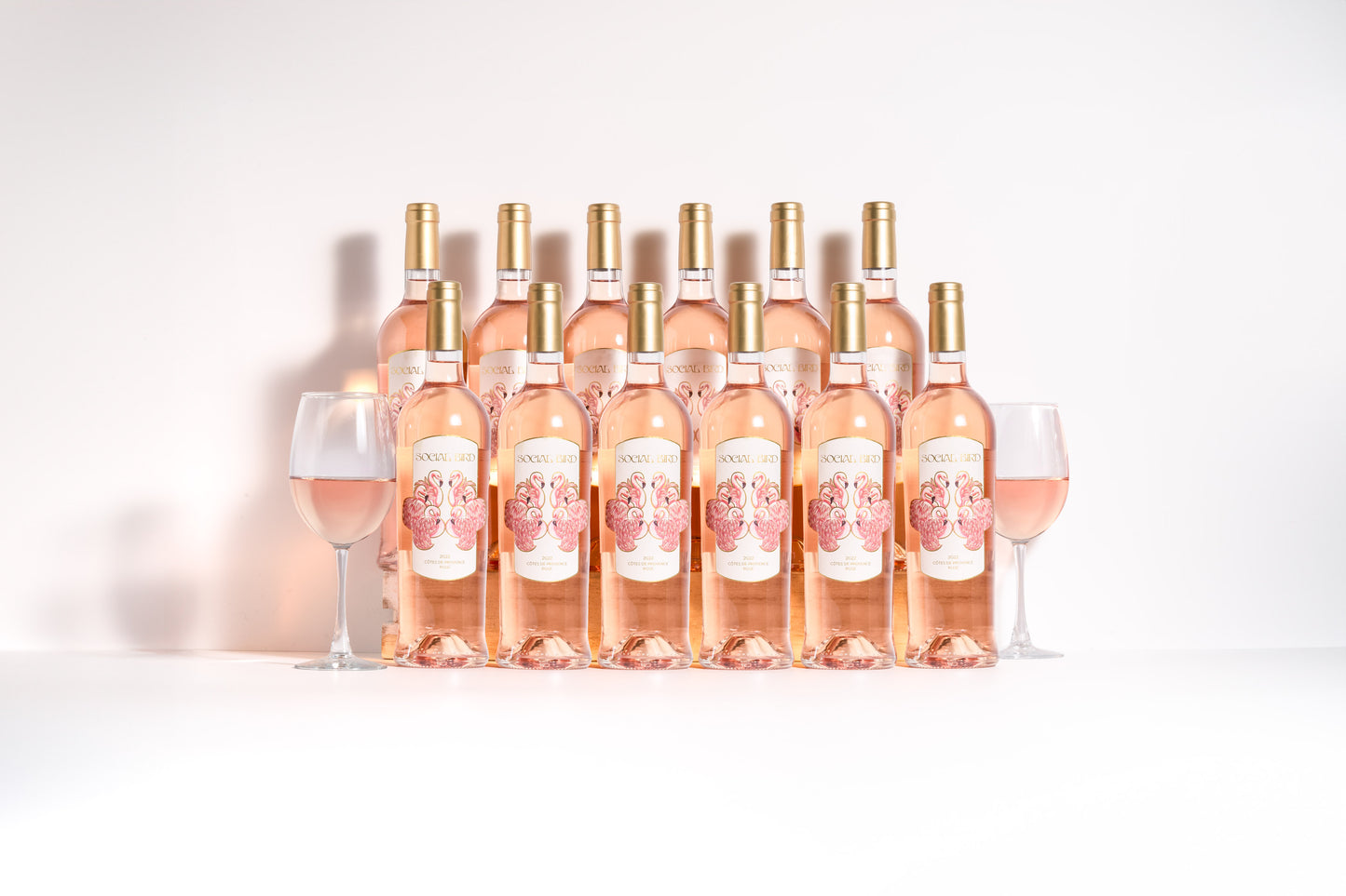 2023 Social Bird Rosé - 12 Bottle