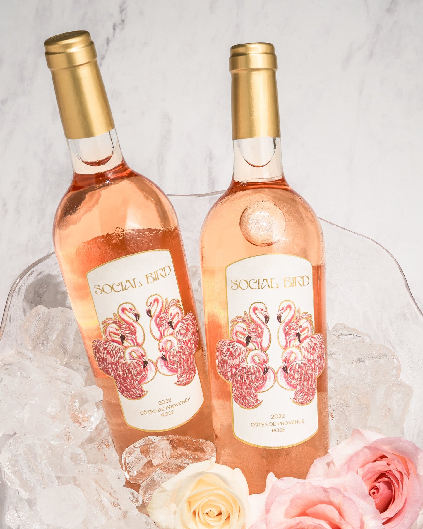 2023 Social Bird Rosé - 12 Bottle