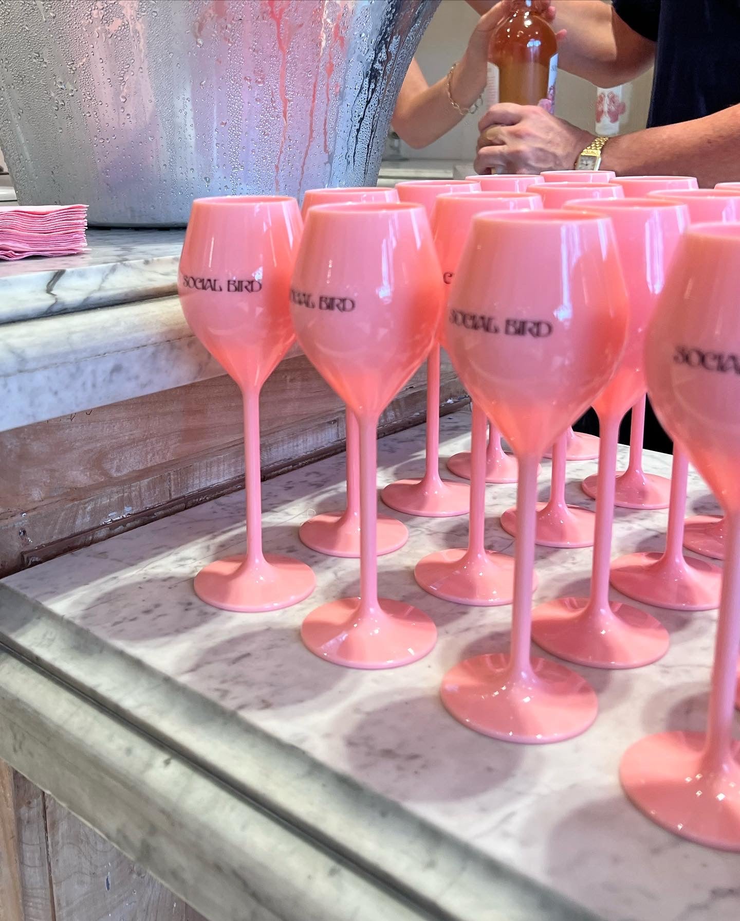 Social Bird Signature Glasses