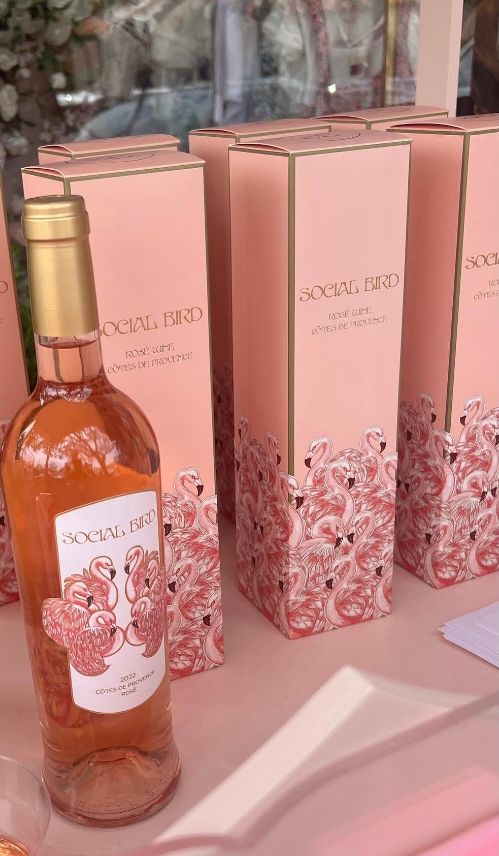 2023 Social Bird Rosé - The Gift