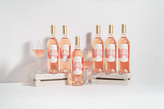 2023 Social Bird Rosé - 6 Bottle
