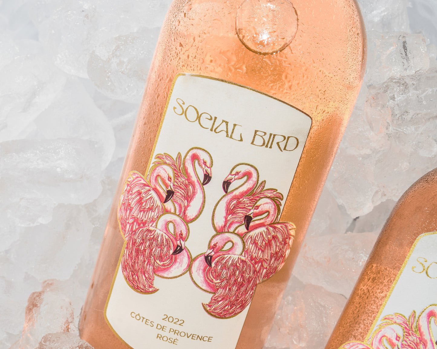 2023 Social Bird Rosé - 3 Bottle